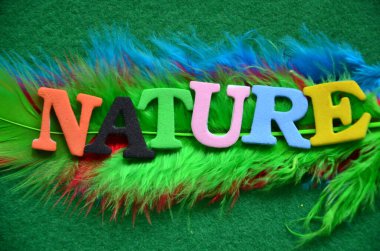 Yeşil arkaplandaki doğal renkli harflerden yapılmış kelime..