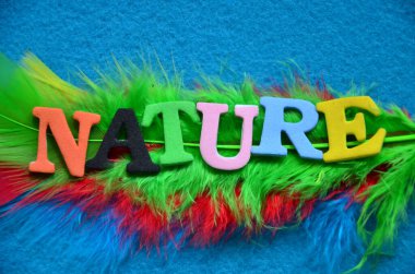 soyut renkli arkaplanda eko kelimesi