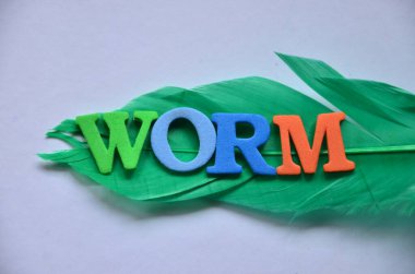 Soyut renkli bir arka planda tırtıl kelimesi