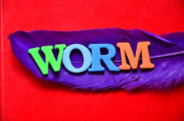 Kelime yazmak kitap yazmaktır. Bir kitap ya da kitap için iş konsepti üzerine yazılmış bir kitap.