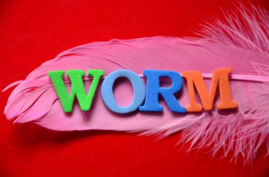 Renkli bir arka planda solucan kelimesi