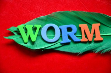 Renkli harflerin kelime yapılmış