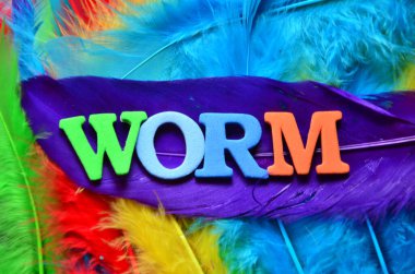 Renkli gökkuşağı arkaplanındaki metin.