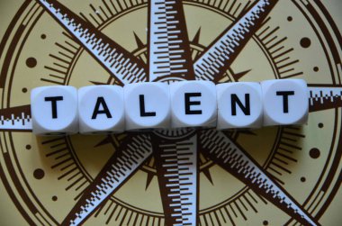 Tahta bloklarla yetenek kavramı