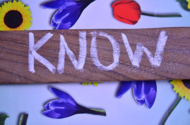 Mesaj işareti soruyu gösteriyor. Bilgi bilgisini sergileyen iş konsepti ya da onun gibi bir şey. Renk arkaplanı olan düz bir kağıda bir şey yaz, merkezde.