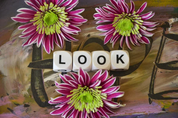 Word look and flowers — Stock Photo, Image