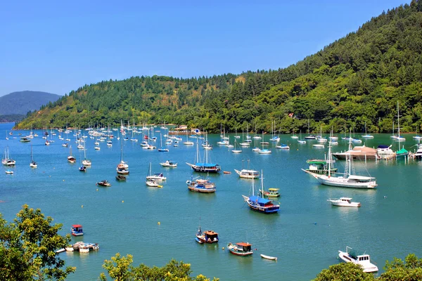 Ubatuba São Paulo Imagens De Bancos De Imagens Sem Royalties