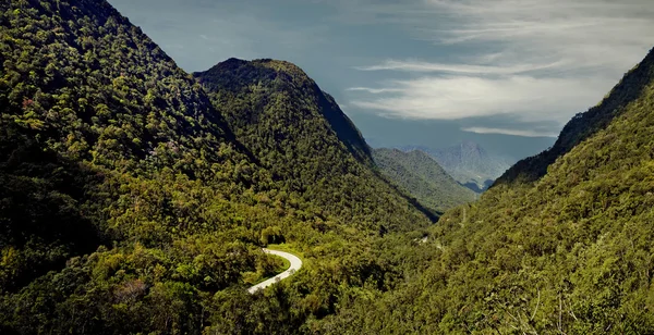 Natureza Fotos De Bancos De Imagens Sem Royalties