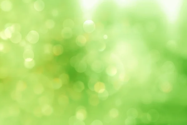 Verde desfocado fundo e luz solar — Fotografia de Stock