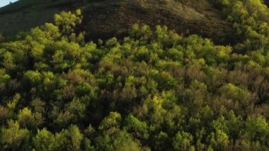 Kireç taşı Shikhan Toratau 'dan oluşan antik denizin resifinden geriye kalanlar. Hava görünümü.