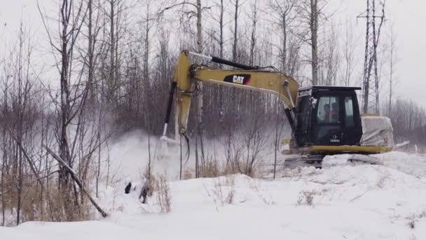 Sgombero Appezzamenti Terreno Cespugli Promac Rsmdc Supporto Spazzola Cat312 Lavoro — Video Stock