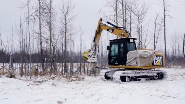 Vyklízení Pozemků Keřů Promac Rsmdc Držák Štětce Cat312 Při Práci — Stock video