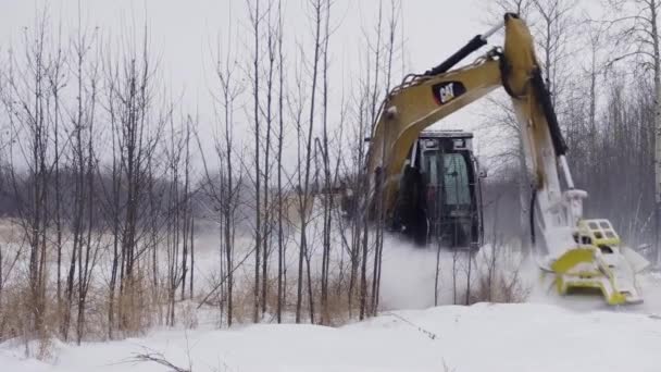 Çalılıklardan Arazi Arsalarını Temizliyorum Promac Rsmdc Fırça Kesici Montajı Cat312 — Stok video