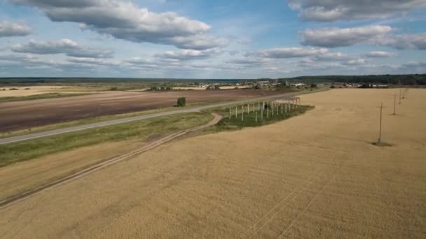 Przemysł Rolny Sezon Zbiorów Pole Orne — Wideo stockowe