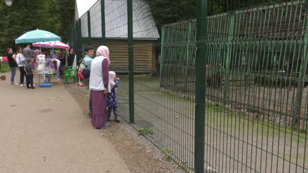 Parque Silvicultores Bashkiria Ufa Urso Recinto Visitantes Zoológico — Vídeo de Stock