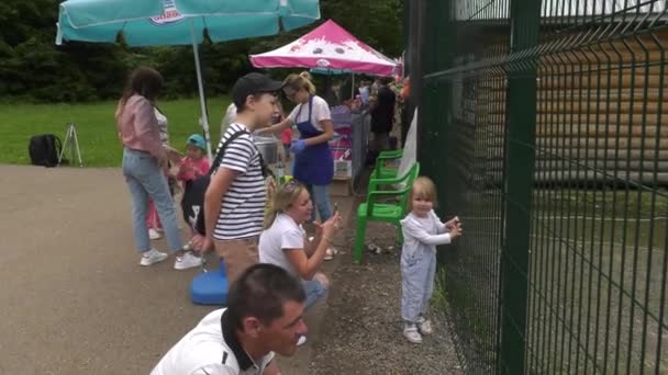 Parque Forestal Bashkiria Ufa Oso Recinto Visitantes Del Zoológico — Vídeos de Stock