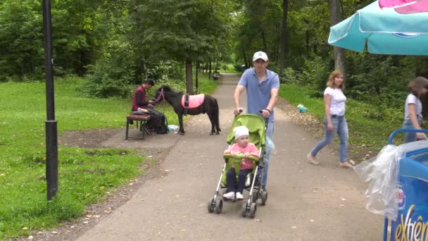 Parque Silvicultores Bashkiria Ufa Alquilar Pony Para Montar Caminando Personas — Vídeos de Stock
