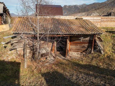 Apiary köyde, açık havada. Arı kovanları için bir kulübe. Altai Dağları. Kuyus Köyü.