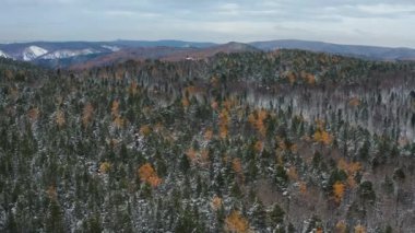 Doğu Sayanlar. Krasnoyarsk Sütunları Ulusal Parkı. Kışın Sibirya Taygası. Hava görünümü.