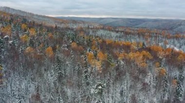 Doğu Sayanlar. Krasnoyarsk Sütunları Ulusal Parkı. Kışın Sibirya Taygası. Hava görünümü.