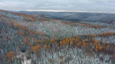 Doğu Sayanlar. Krasnoyarsk Sütunları Ulusal Parkı. Kışın Sibirya Taygası. Hava görünümü.