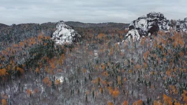 Östra Sayans Krasnojarsk Pelare Nationalpark Sibirisk Taiga Vintern Flygbild — Stockvideo