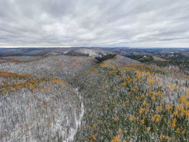 Doğu Sayanlar. Krasnoyarsk Sütunları Ulusal Parkı. Kışın Sibirya Taygası. Hava görünümü.