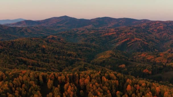 Στα Βουνά Αλτάι Φθινόπωρο Στην Κορυφογραμμή Τσεργκίνσκι Γύρω Από Θέρετρο — Αρχείο Βίντεο