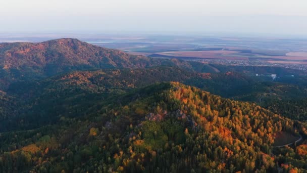 秋天的阿尔泰山 切尔金斯基山脊对Belokurikha度假胜地的包围 空中景观 — 图库视频影像