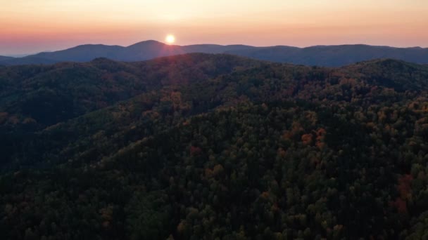 Montañas Altai Otoño Cresta Cherginsky Alrededores Belokurikha Resort Vista Aérea — Vídeo de stock