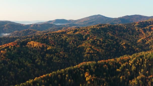 Altai Bergen Hösten Tjerginskijåsen Omgivningar Belokurikha Resort Flygbild — Stockvideo