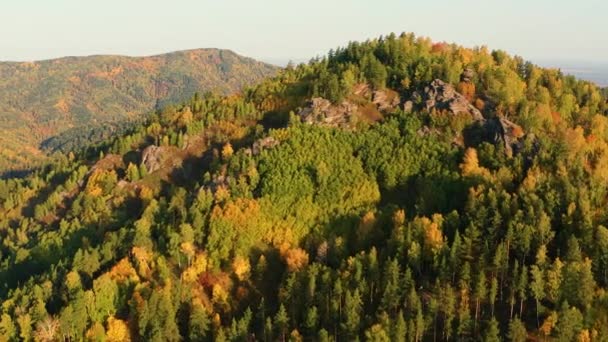 Góry Altai Jesienią Czergiński Grzbiet Okolica Kurortu Belokurikha Widok Lotu — Wideo stockowe