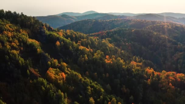 Altai Hory Podzim Cherginského Hřeben Okolí Letoviska Belokurikha Letecký Pohled — Stock video