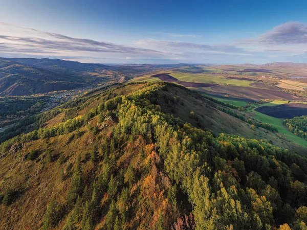 Sonbaharda Altai dağları. Cherginsky tepesi. Belokurikha tatil köyünün çevresi. Hava görünümü.