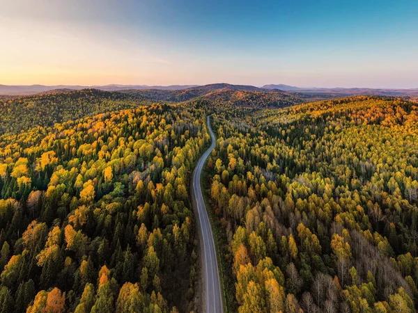 Sonbaharda Altai Dağları temerrüde düştü. Cherginsky tepesi. Belokurikha tatil köyünün çevresi. Hava görünümü.