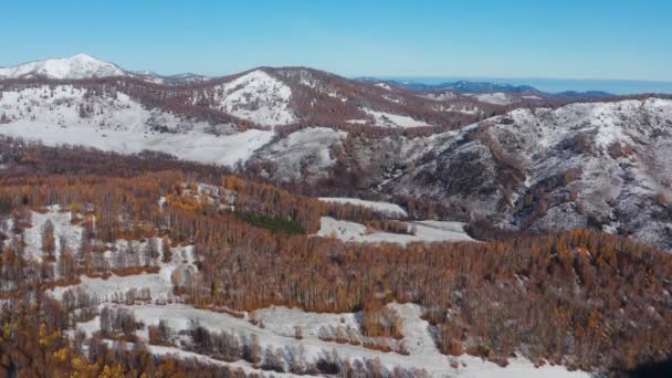 Altai Montanhas Outono Cume Seminsky Névoa Nas Montanhas Vista Aérea — Vídeo de Stock