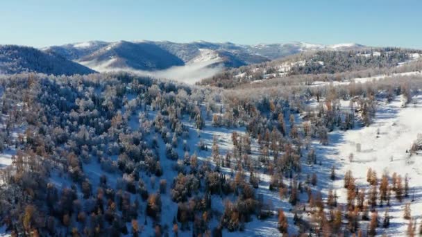 Altai Montanhas Outono Cume Seminsky Névoa Nas Montanhas Vista Aérea — Vídeo de Stock