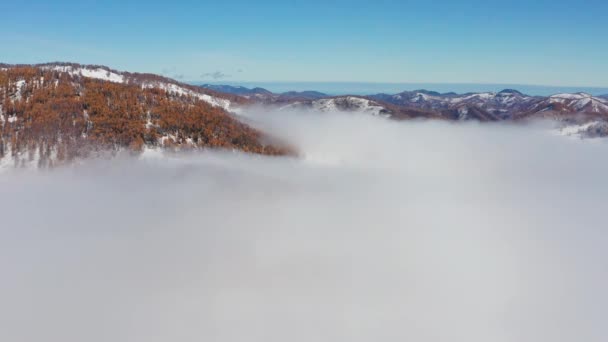 Алтайские Горы Осенью Семинский Хребет Туман Горах Вид Воздуха — стоковое видео