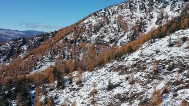 Στα Βουνά Αλτάι Φθινόπωρο Στην Κορυφογραμμή Seminsky Ομίχλη Στα Βουνά — Αρχείο Βίντεο