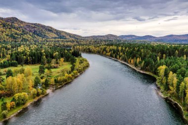 Sonbaharda Altai dağları. Biya Nehri. Hava görünümü.