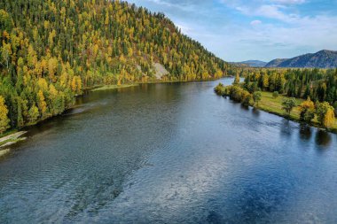 Sonbaharda Altai dağları. Biya Nehri. Hava görünümü.