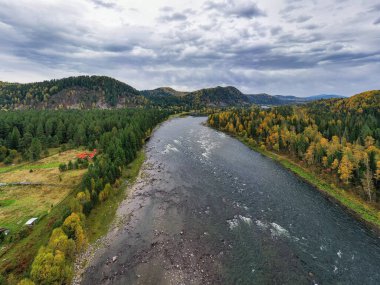 Sonbaharda Altai dağları. Biya Nehri. Hava görünümü.