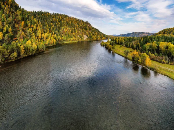 Sonbaharda Altai dağları. Biya Nehri. Hava görünümü.