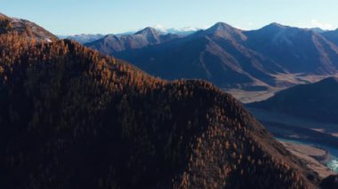 Sonbaharda Altai dağları. Saladzhar tepesi ve Katun nehri. Hava görünümü.