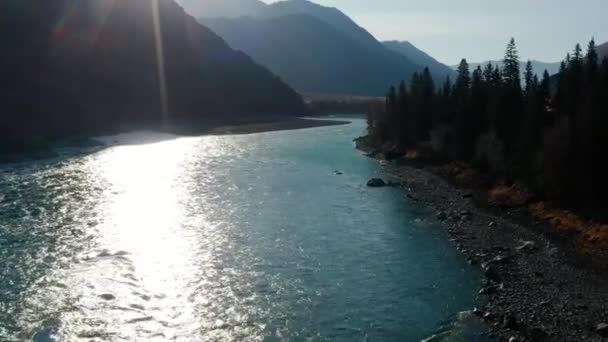 秋天的阿尔泰山 Iolgo岭和Katun河 空中景观 — 图库视频影像