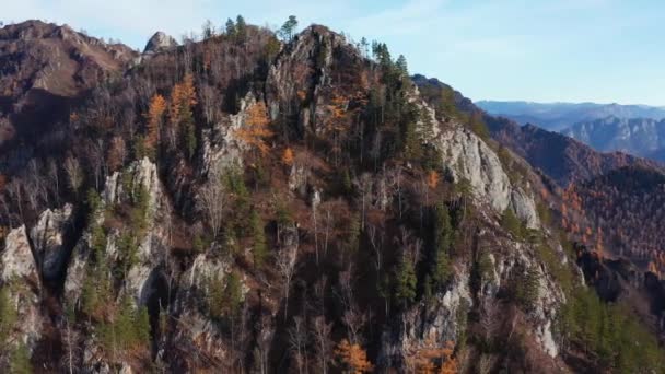 Montañas Altai Otoño Cresta Iolgo Vista Aérea — Vídeos de Stock