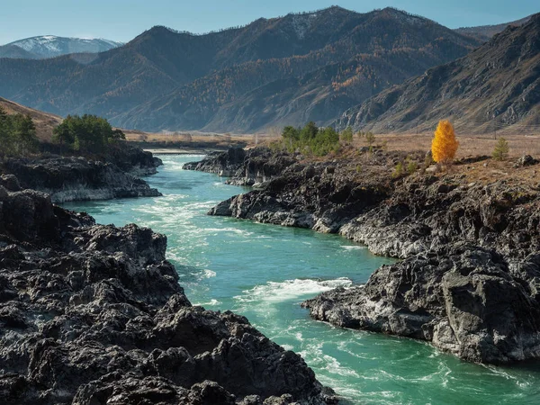 Sonbaharda Altai dağları. Katun Nehri. Teldekpen akıntıları. Hava görünümü.