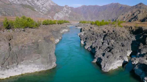 Altai Mountains Autumn Katun River Teldekpen Rapids — Stock Video