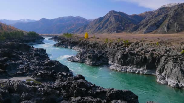 Montagnes Altaï Automne Rivière Katun Rapides Teldekpen — Video