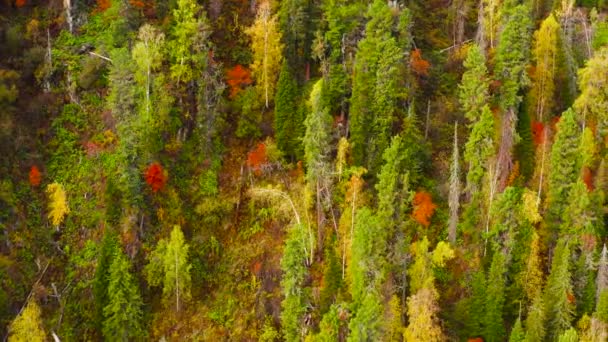 Montagne Altai Autunno Crinale Iolgo Vista Aerea — Video Stock